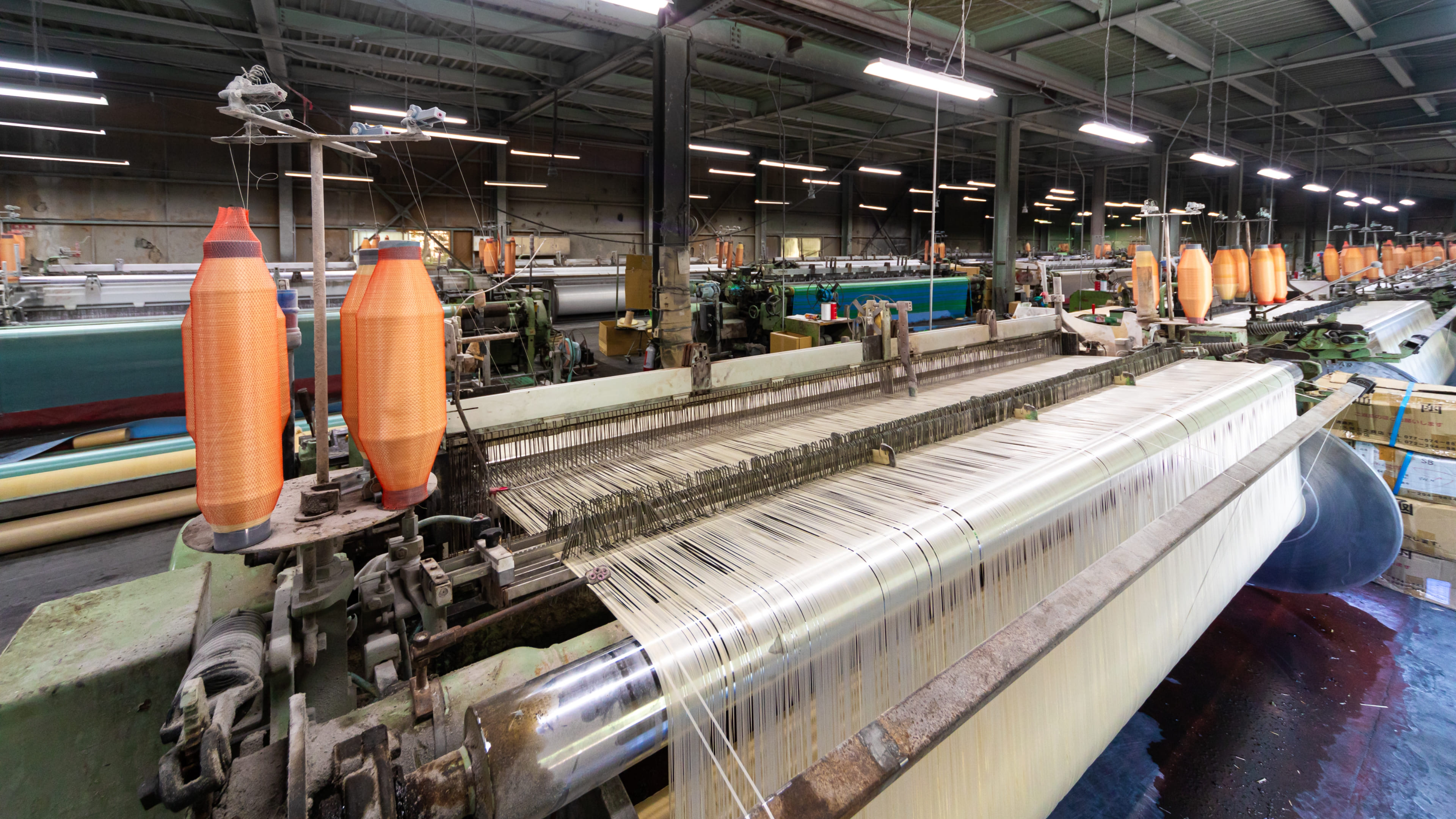 カーペット用一次基布、ポリプロピレン製織物の製造